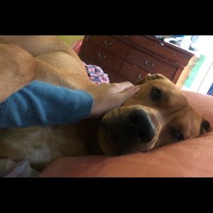 Meet your Posher, Haley